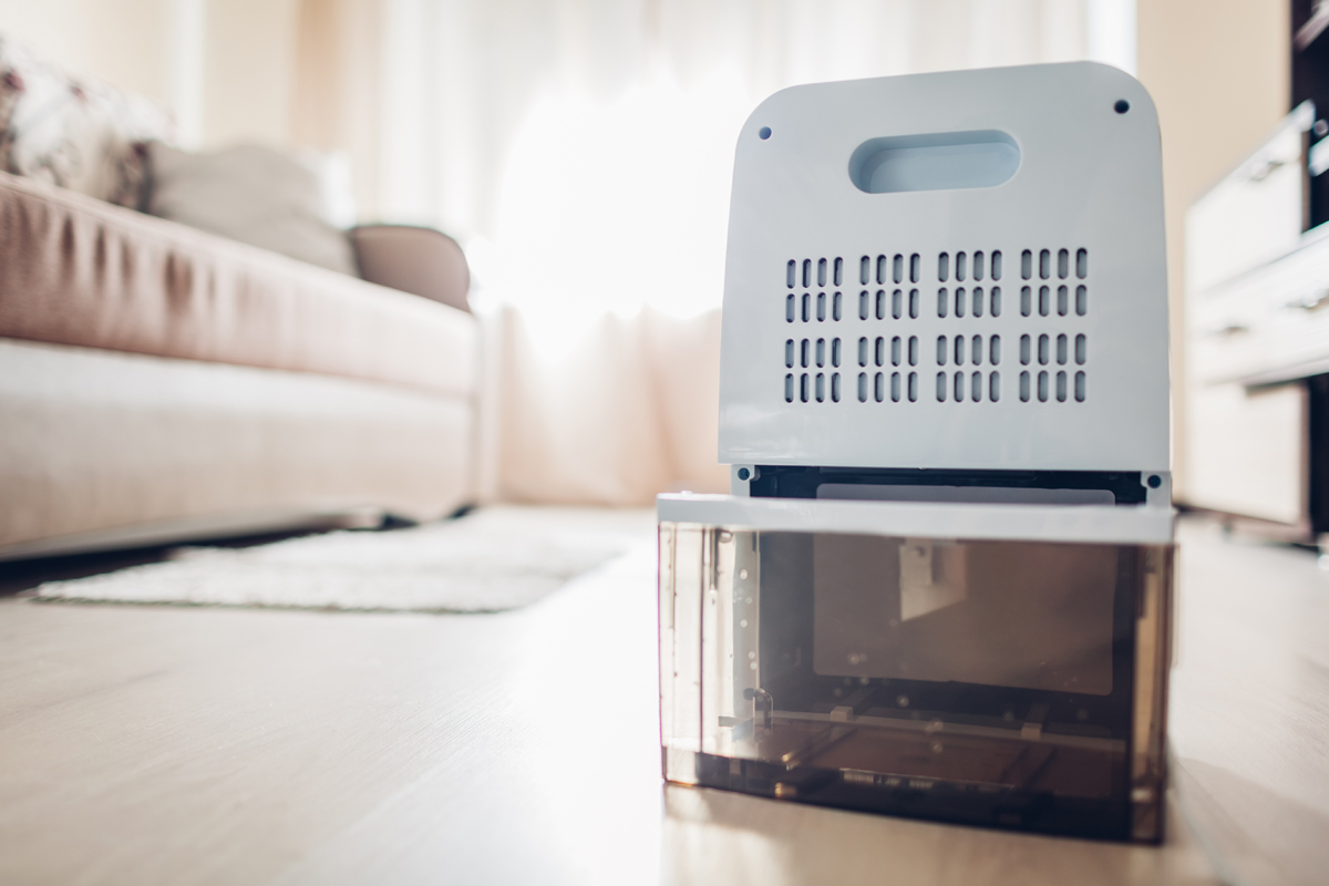 Changing Water Container Of Dehumidifier At Home. Dampness In Apartment. Modern Technology Changing Water Container Of Dehumidifier At Home. Dampness In Apartment. Modern Technology