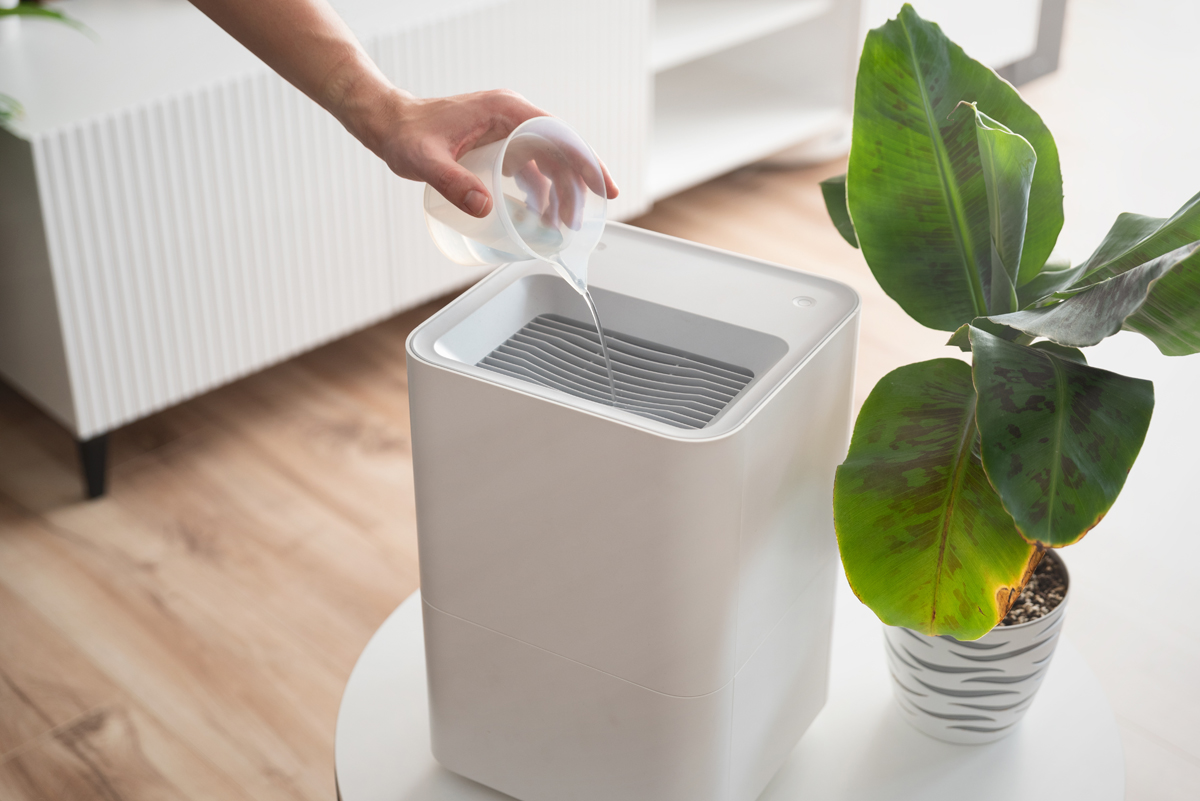 Modern Air Humidifier In Living Room Modern Air Humidifier In Living Room
